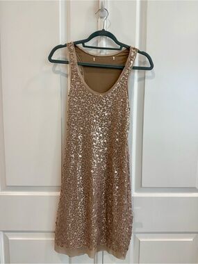 Sleeveless Sequin Tank Dress in Champagne